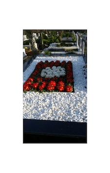 Asenya Mezar Taşı 11 Kg 2-4 Cm Beyaz Dolomit Taş Dere Çakıl Taşı Bahçe Süs Taşı Mezar Süsleme Taşı Asenya Mezar Taşı 11 Kg 2-4 Cm Beyaz Dolomit Taş Dere Çakıl Taşı Bahçe Süs Taşı Mezar Süsleme Taşı