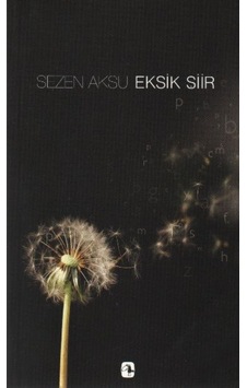 Sezen Aksu - Eksik Şiir - Şarkı Sözleri (1977-2006) - Sezen Aksu - Metis Yayınları