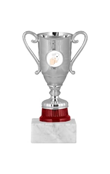 Odak Kupa - Genel Kupalar - Gn-049 A - 18 Cm Altın
