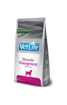 Vet Life Natural Adult Dog Management Struvite Diyet Yetişkin Köpek Maması 2 Kg Vet Life Natural Adult Dog Management Struvite Diyet Yetişkin Köpek Maması 2 Kg