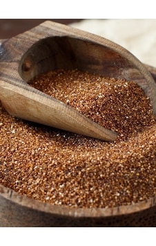Aktar Store Teff Tohumu 1 Kg Aktar Store Teff Tohumu 1 Kg