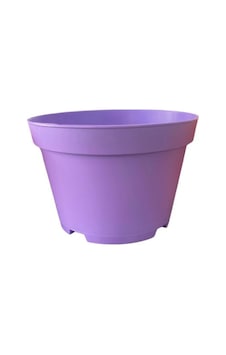 Bitkim Sende Katı Plastik Sukulent Saksısı 10adet Açık Mor 8.5 Cm Bitkim Sende Katı Plastik Sukulent Saksısı 10adet Açık Mor 8.5 Cm