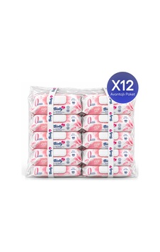 Biolly Daily Care Günlük Islak Mendil 90 Yaprak 12'li Paket 12'li Set