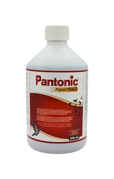 Royal Pantonic Pigeon Plus 500 ML Güvercin ve Kafes Kuşları Için Multivitamin Royal Pantonic Pigeon Plus 500 ML Güvercin ve Kafes Kuşları Için Multivitamin