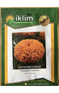 Turuncu Top Kadife Çiçek Tohumu Takribi 50 Adet Tohum Turuncu Top Kadife Çiçek Tohumu Takribi 50 Adet Tohum