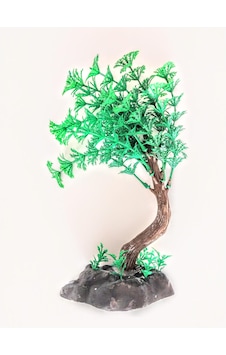 Fatih-pet Bonsai Ağaç Akvaryum Bitki