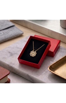 Pigna Aksesuar Kutulu Gold Açılır Kapanan Mıknatıslı Yonca Çelik Kolye Altın