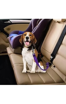 Kedi Ve Köpekler İçin Oto Emniyet Kemeri, Mor Kedi Ve Köpekler İçin Oto Emniyet Kemeri, Mor