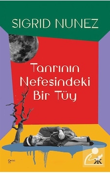 Tanrı'nın Nefesinde Bir Tüy - Sigrid Nunez - Kafka Kitap Tanrı'nın Nefesinde Bir Tüy - Sigrid Nunez - Kafka Kitap