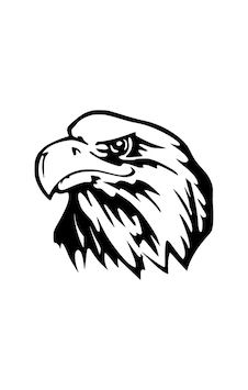 Kartal Sticker Oto Motor Laptop Duvar Folyo Sticker 20x20 Cm Kartal Sticker Oto Motor Laptop Duvar Folyo Sticker 20x20 Cm