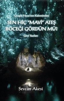 Sen Hiç Mavi Ateş Böceği Gördün mü? - Sevcan Akesi - Artshop Yayıncılık
