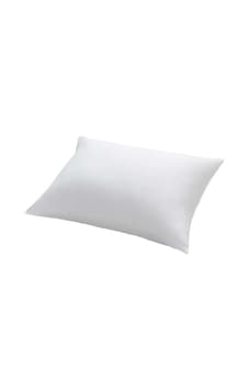 Bilgiçler Silikon Yastık 800 G Bilgiçler Silikon Yastık 800 G