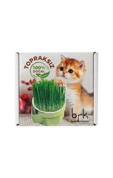 Brk Topraksız Doğal Kedi Çimi