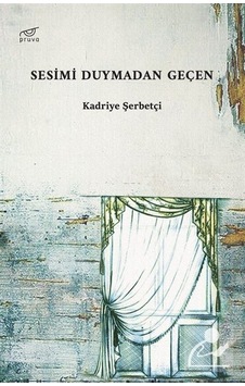Sesimi Duymadan Geçen - Kadriye Şerbetçi