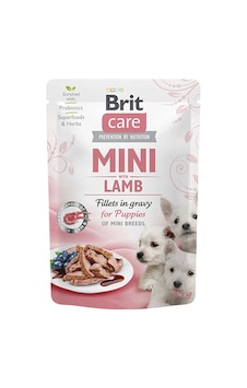 Brit Care Mini Puppy Kuzu Etli Soslu Fileto Küçük Irk Yavru Köpek Konservesi 85 Gr 110-20000.01 Brit Care Mini Puppy Kuzu Etli Soslu Fileto Küçük Irk Yavru Köpek Konservesi 85 Gr 110-20000.01