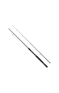 Fladen Xtra Flexx 180cm 7 25g Aksiyonlu Spin Kamışı Fladen Xtra Flexx 180cm 7 25g Aksiyonlu Spin Kamışı