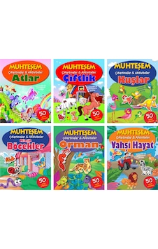 Muhteşem Çıkartmalar ve Aktiviteler Serisi 6 Kitap Muhteşem Çıkartmalar ve Aktiviteler Serisi 6 Kitap