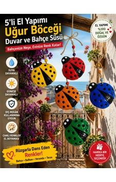 Şanslı Uğur Böceği Dekor Seti