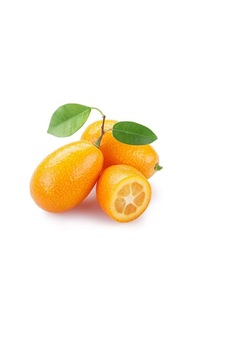 Kumkat Tohumu 5 Adet Kumkat Tohumu 5 Adet