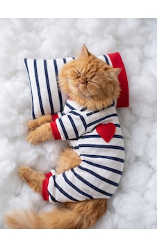 Mon Amour Çizgili Kedi Uyku Seti Penye Kedi Tulum Ve Mini Yastık Takımı Pamuklu Tüy Dökülmesini Azaltır Mon Amour Çizgili Kedi Uyku Seti Penye Kedi Tulum Ve Mini Yastık Takımı Pamuklu Tüy Dökülmesini Azaltır