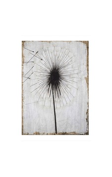 Bedeko Şeytan Tüyü Hediyelik Mdf Tablo 35 Cm X 50 Cm Bedeko Şeytan Tüyü Hediyelik Mdf Tablo 35 Cm X 50 Cm