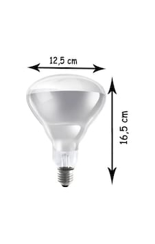 Ledvance Infrared Br40 Clear 250w E27ampul Ledvance Infrared Br40 Clear 250w E27ampul