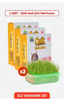 3 Adet Doğal Kedi Çimi Fileli Ve Kutulu Tüy Yumağı Önleyici 3 Adet Doğal Kedi Çimi Fileli Ve Kutulu Tüy Yumağı Önleyici