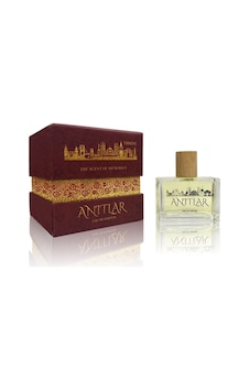 Zayna Anıtlar Gold Kadın Parfüm EDP 50 ML