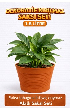 Akıllı 2 Li Saksı Seti Terracota Dekoratif Saksı + Şeffaf Üretim Saksısı Drenajlı, Kırılmaz Akıllı 2 Li Saksı Seti Terracota Dekoratif Saksı + Şeffaf Üretim Saksısı Drenajlı, Kırılmaz