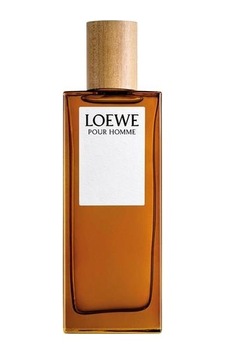 Loewe Pour Homme Edt 100ml Aromatik