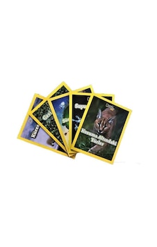 National Geographic Kids-Mavi Gezegen Seti-5 Kitap Takım- Beta Kids National Geographic Kids-Mavi Gezegen Seti-5 Kitap Takım- Beta Kids
