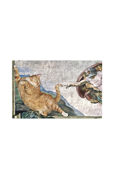 Monnhein Kedi Köpek Komik Tasarımlı Dekoratif Kapı Önü Paspas, Dış Mekan/ev İçi/banyo/mutfak/yatak Odası/giriş Paspasları Kedinin Yaratılışı, 45x70 Sku: Zeusstk0145fb5ba2 11ypycoco