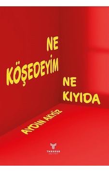 Ne Köşedeyim Ne Kıyıda - Aydın Akyüz - Theseus Yayınevi