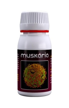 Agrobacterias Muskaria 60 Ml Diğer Agrobacterias Muskaria 60 Ml Diğer