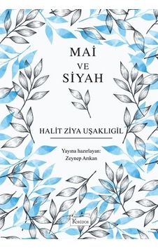 Mai ve Siyah Bez Ciltli Mai ve Siyah Bez Ciltli