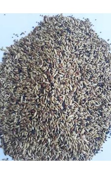 Mh Karışık Kanarya Yemi Kaliteli Karışım Açık 2 KG