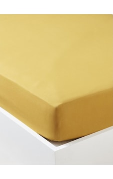 Maki %100 Pamuklu Hardal 100X200 Tek Kişilik Lastikli Çarşaf Takı Maki %100 Pamuklu Hardal 100X200 Tek Kişilik Lastikli Çarşaf Takı