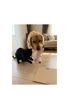 Kedi Köpek Oyuncağı Peluş Köpek Baskılı, Yumuşak Kumaşlı Hışırtılı Oyuncak Ekru - 937533434 Kedi Köpek Oyuncağı Peluş Köpek Baskılı, Yumuşak Kumaşlı Hışırtılı Oyuncak Ekru - 937533434