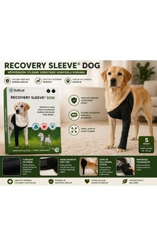 Suitical Recovery Sleeve Dog S Beden Köpek Koruyucu İyileşme Kolluğu