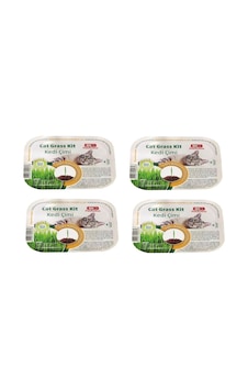 Bio Petactive Cat Grass Kit Doğal Kedi Çimi Kiti X 4 Adet