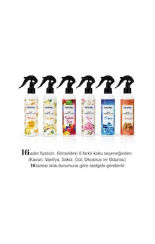 Gmax Sprey Koku Çok Amaçlı Oda Ve Oto Parfüm Kokusu Karışık Esanslı Kötü Koku Giderici 250 Ml X 16'lı Paket Glz03020674 16 Adet Diğer