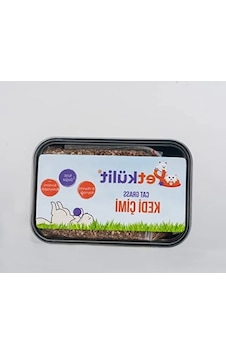 Siyah Petkülit Kedi Çimi Siyah Petkülit Kedi Çimi