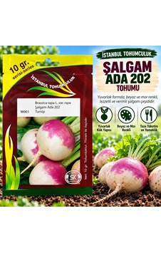 Şalgam Ada 202 Tohumu 10 Gr Şalgam Ada 202 Tohumu 10 Gr