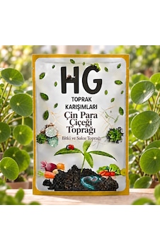 Hg Çin Para Çiçeği Pilea Saksı Toprağı 20 LT Hg Çin Para Çiçeği Pilea Saksı Toprağı 20 LT