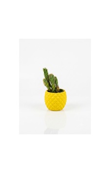 Dekoratif Ananas Tasarım Mini Saksı, Geometrik Desenli Kaktüs Saksısı