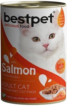 Bestpet Somonlu Jöleli Yetişkin Konserve Kedi Maması 400 G Bestpet Somonlu Jöleli Yetişkin Konserve Kedi Maması 400 G