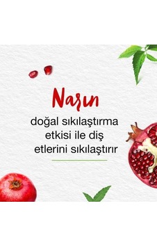 Himalaya Since 1930 Komple Bakım Bitkisel Diş Macunu, Florürlü, Parabensiz, Vejeteryan, Güçlü Dişler, 75 Ml