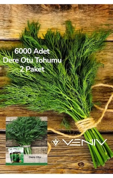 6000 Adet Dere Otu Tohumu 2 Paket 6000 Adet Dere Otu Tohumu 2 Paket