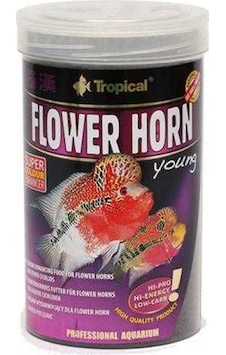 Tropical Flowerhorn Young 100 G Kovadan Bölme Tropical Flowerhorn Young 100 G Kovadan Bölme