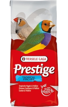 Verselelaga - 947 - Tropical Finches - Spt-gld - 20 Kg